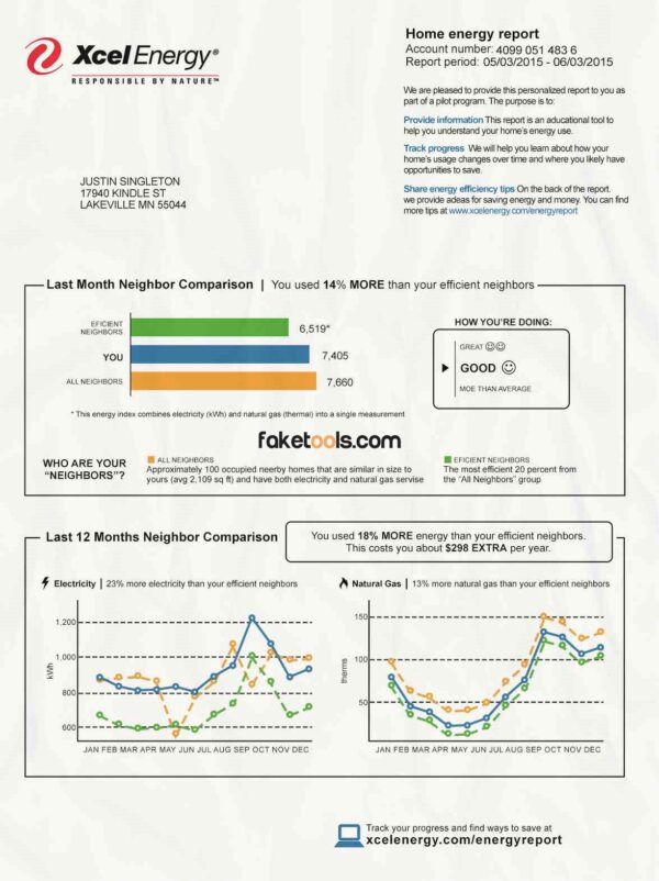 Xcel Energy Utility Bill template Proof of address template