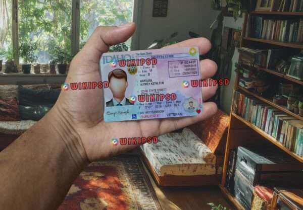 Driving License Template PSD - Easy, Editable, and High-Quality!